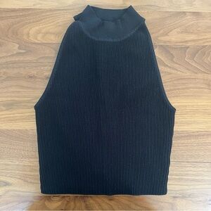 Aritzia Babaton Sculpt Tank